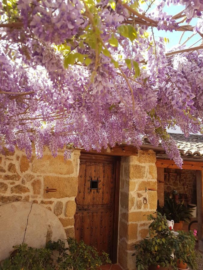 Holiday home El Atalanto Madrigal de la Vera