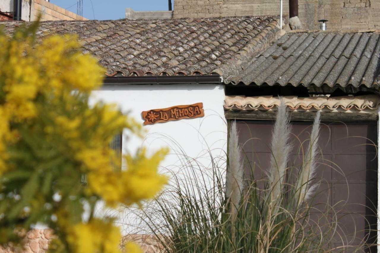 La Mimosa Сasa de vacaciones