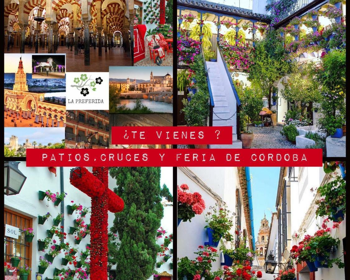 Centro Historico Mezquita Juderia La Preferida *