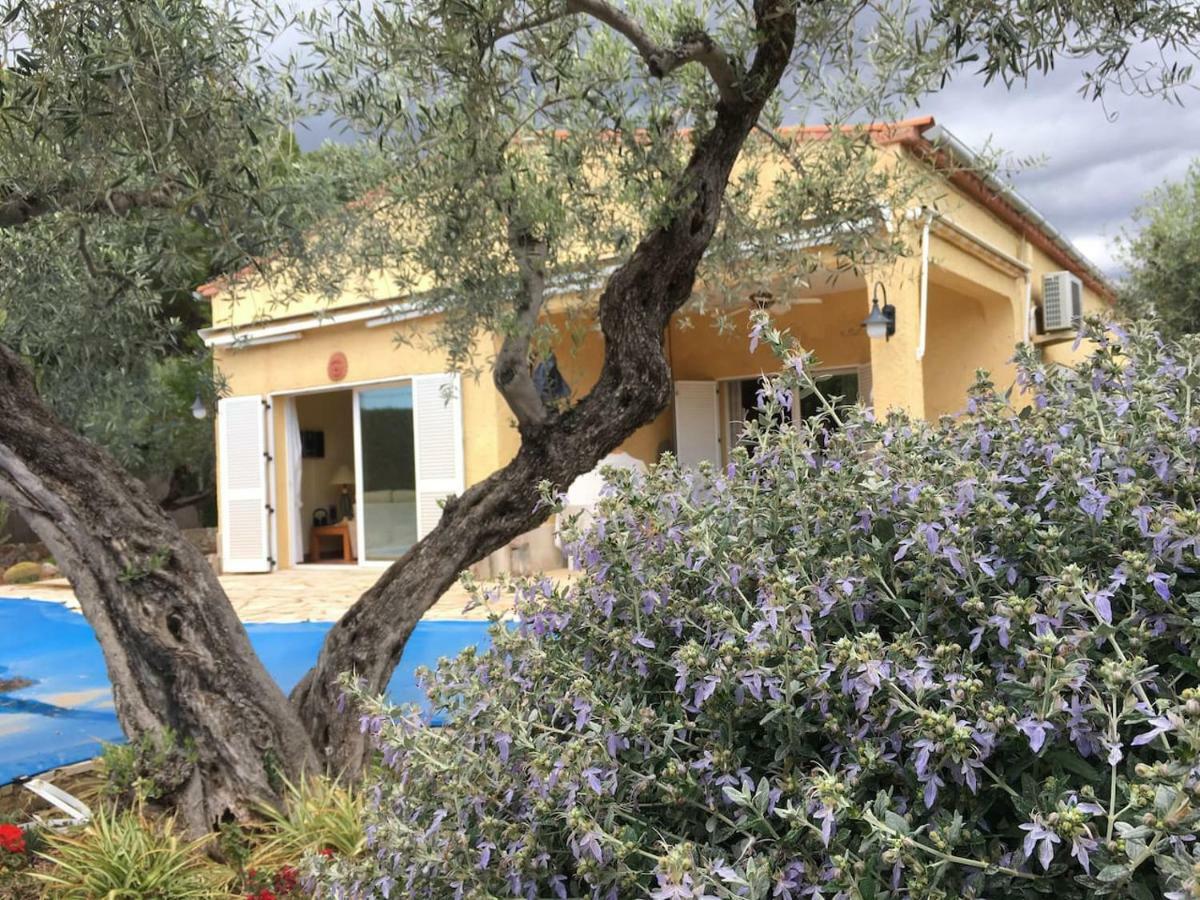Сasa de vacaciones La Inopia L'Ampolla