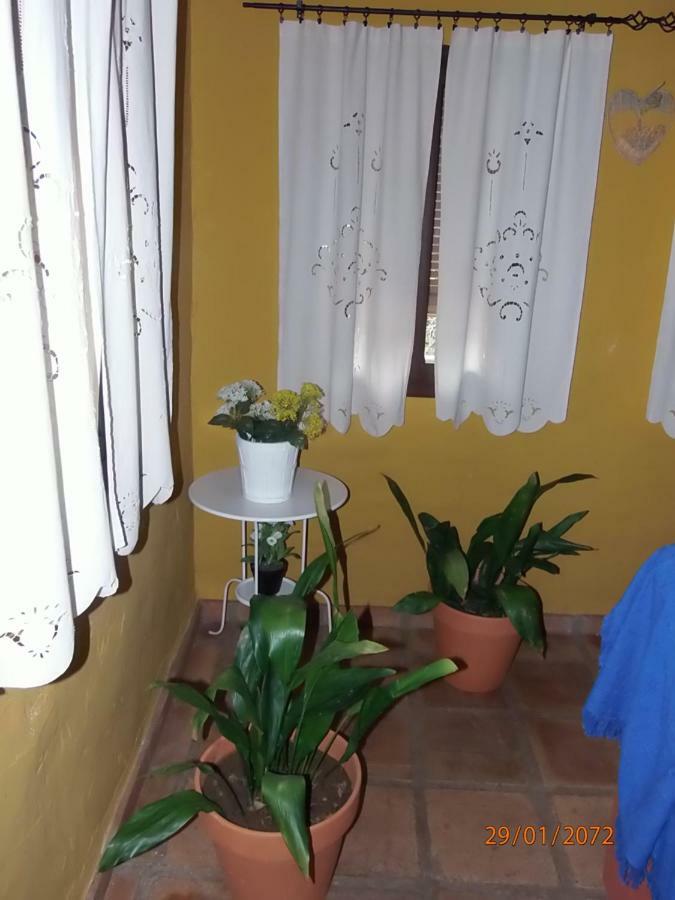 Country house El Viejo Castano - Valle Del Genal *