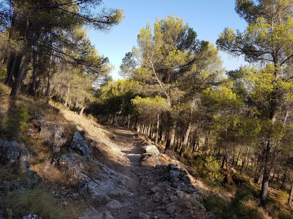 Rurales La Dehesa Del Acebuche * Jaen