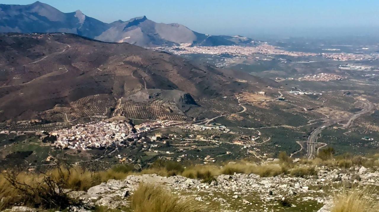 Rurales La Dehesa Del Acebuche