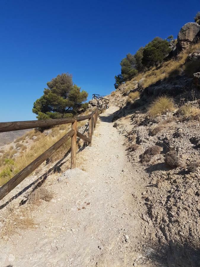 Rurales La Dehesa Del Acebuche