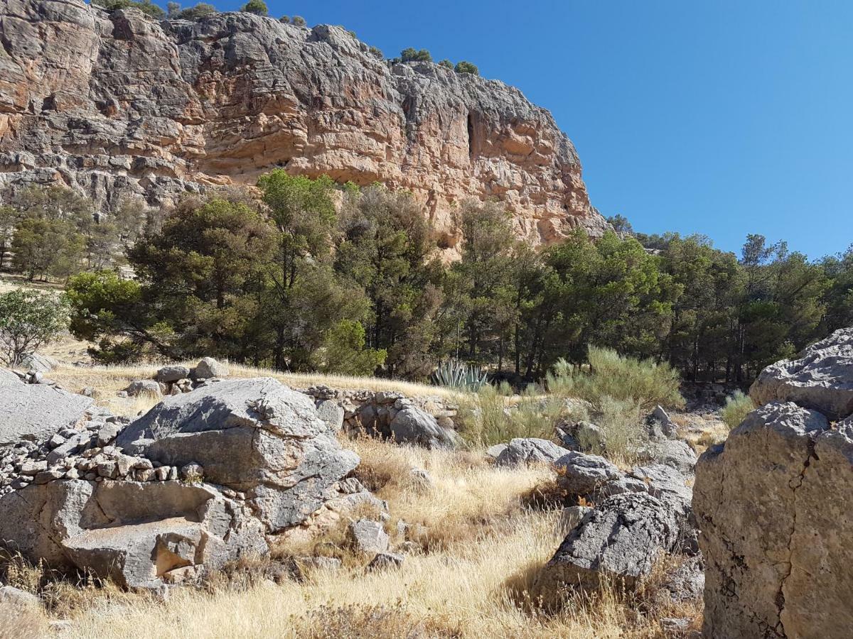 Rurales La Dehesa Del Acebuche * Jaen