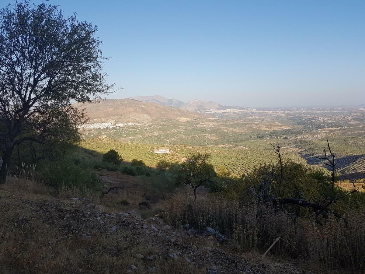 Rurales La Dehesa Del Acebuche Jaen