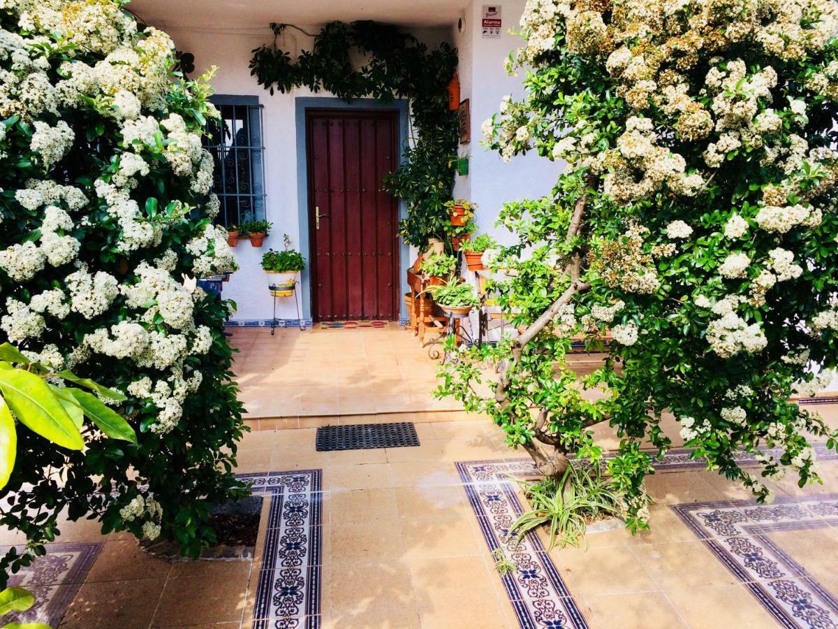 Ferrer Sevilla Holiday home Gines