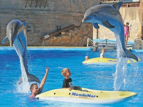 Complex Benidorm
