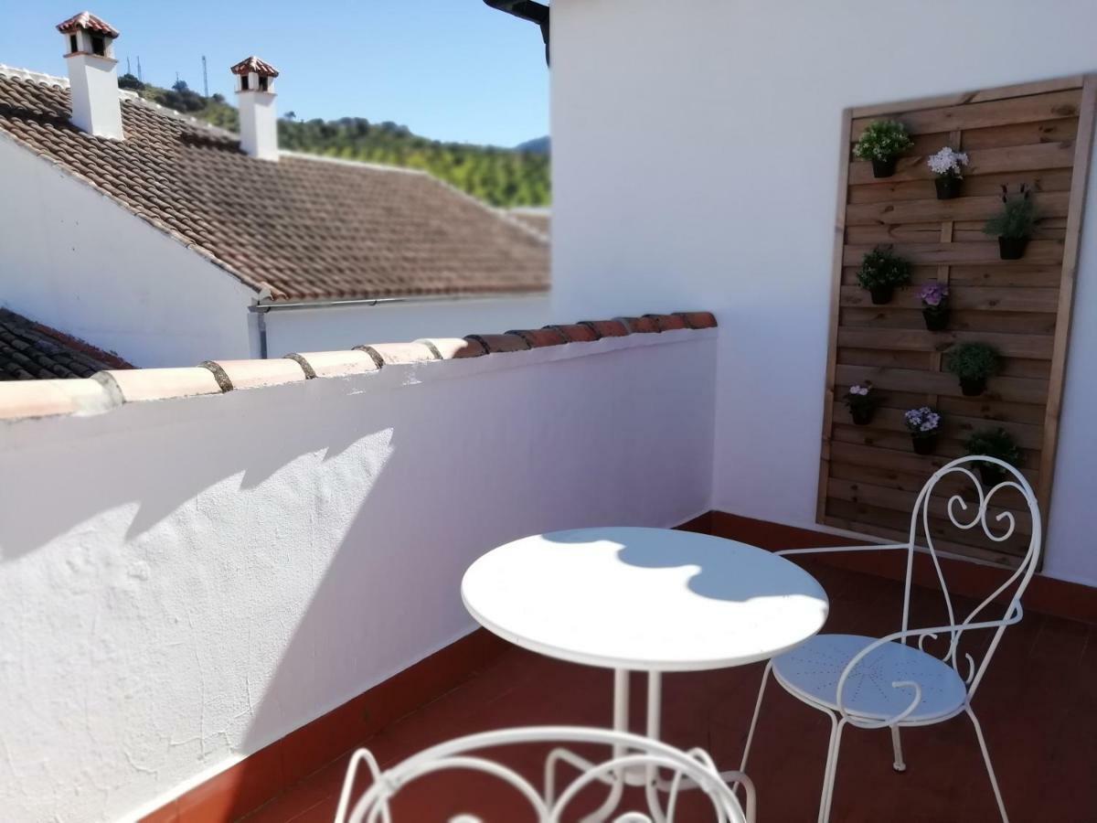 El Duende Del Tejar Guest house 3*