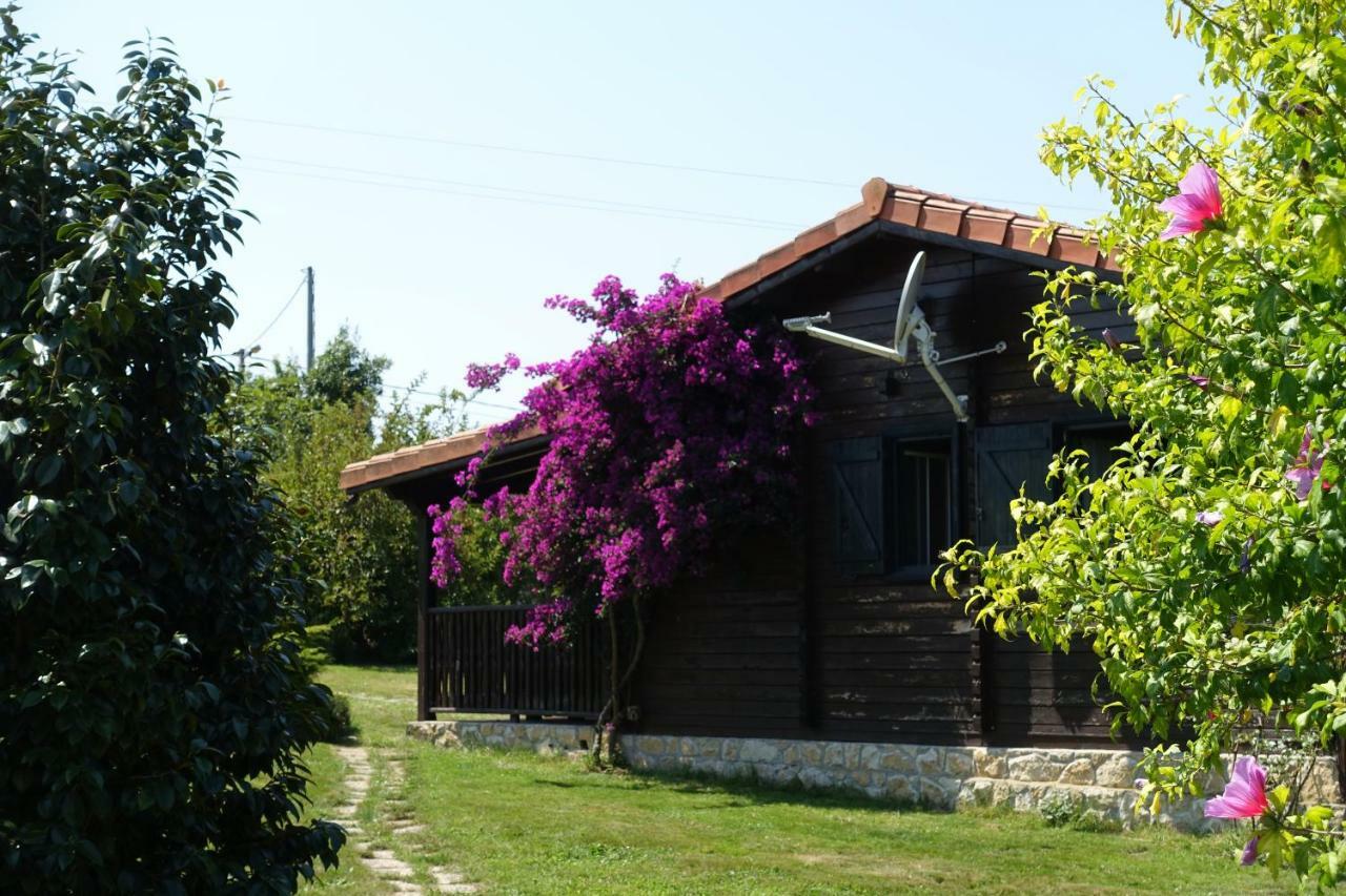 La Casa Del Carballo Pisones