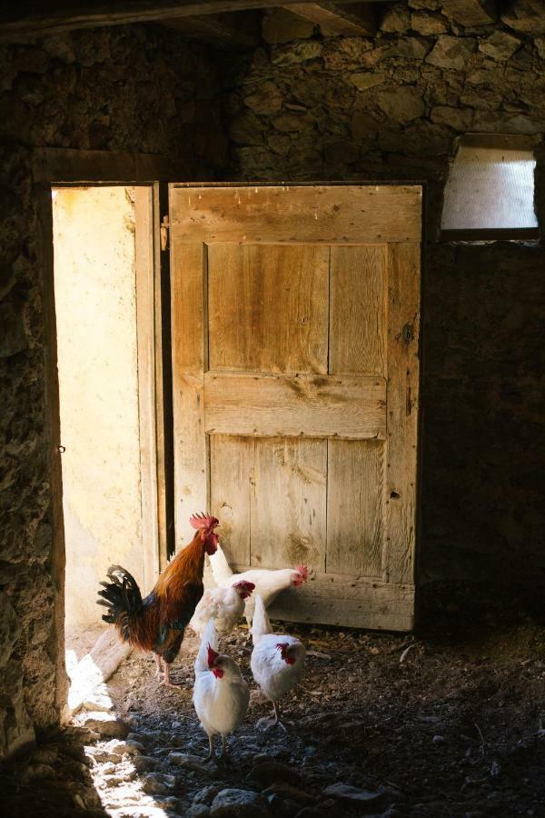 Country house Blanc De Vilacireres Gosol