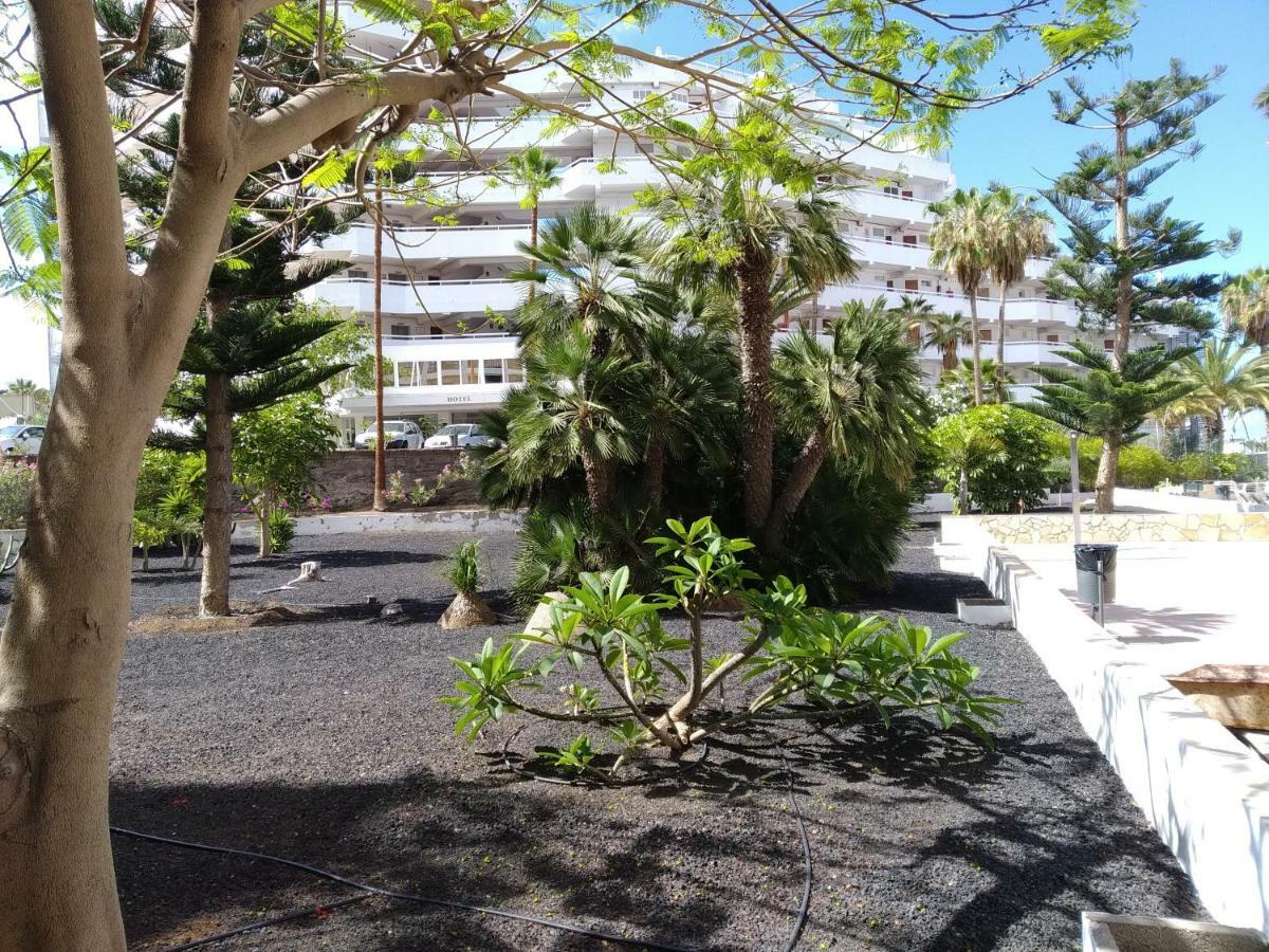 Apartamento Viña Del Mar *