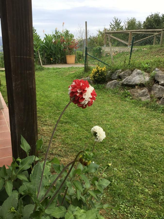 Holiday home Mar Y Picos *