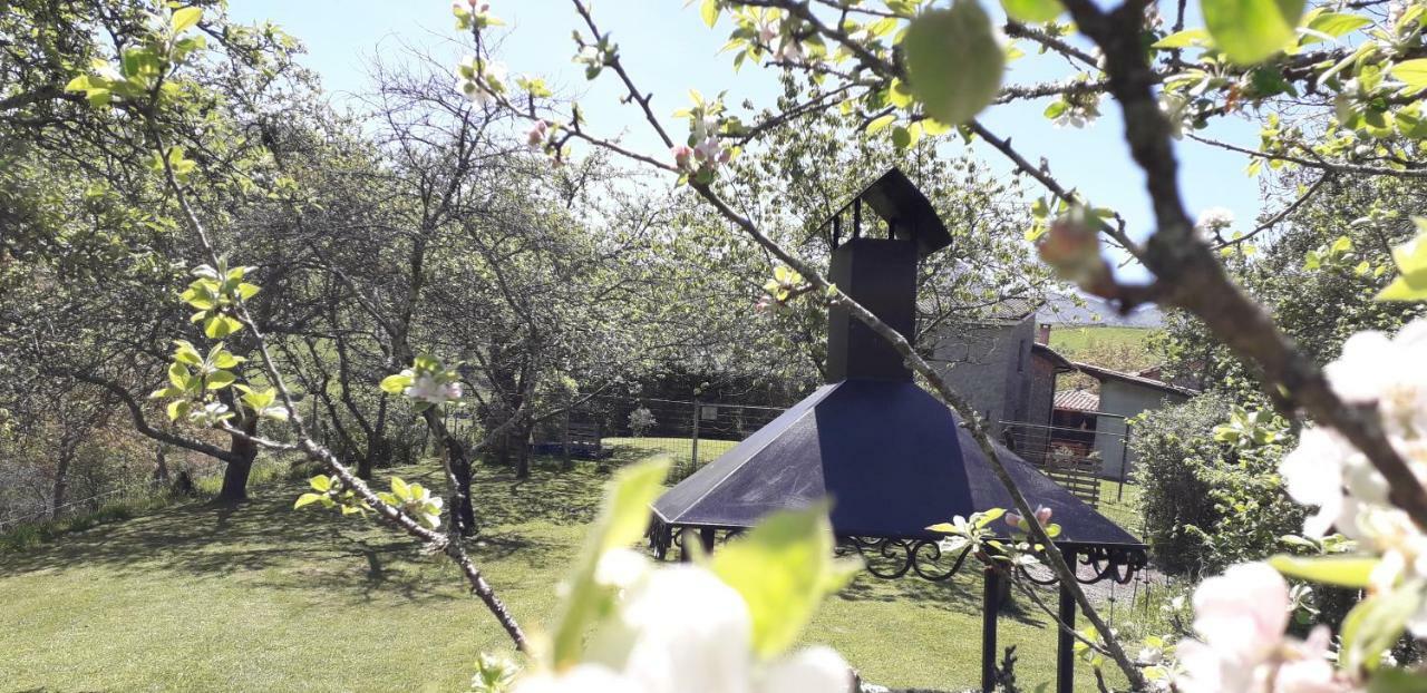 Flor De Pomar Holiday home Corao