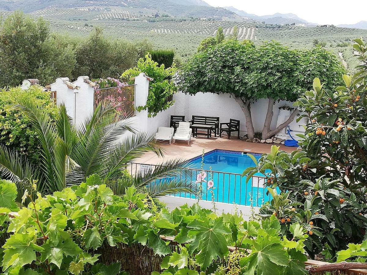 Cortijo Abedules *
