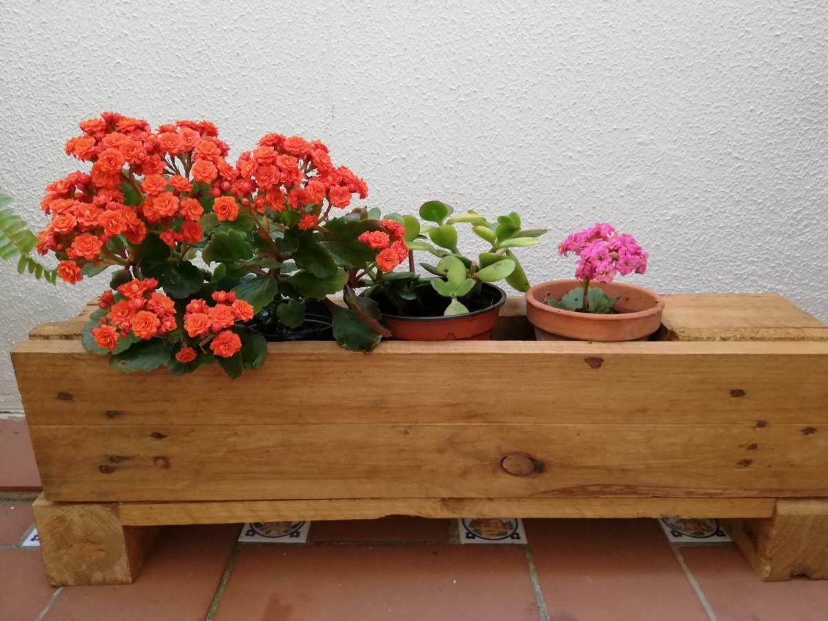 En La Bahía De Cádiz Con Zona Chill-out Y Wifi Apartamento *