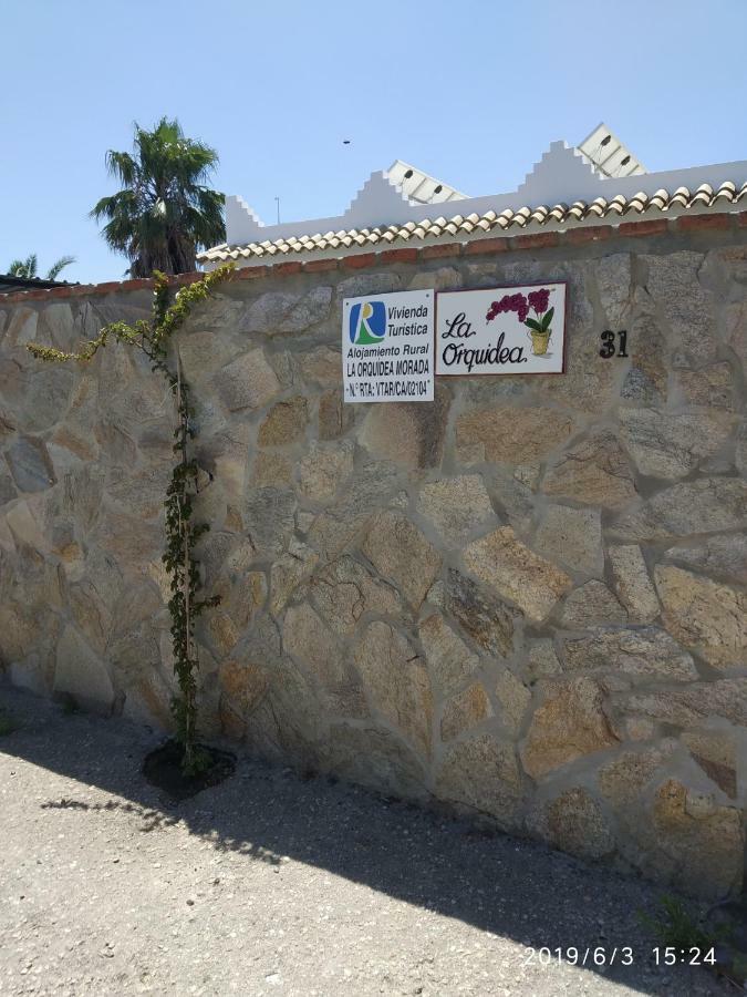 La Orquidea Morada * Conil De La Frontera