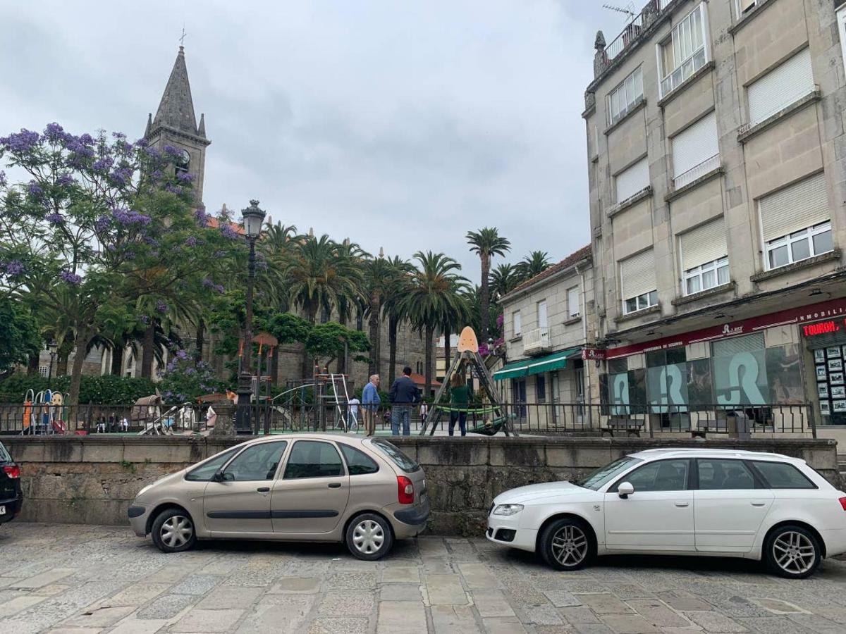 Oliva Caldas De Reis