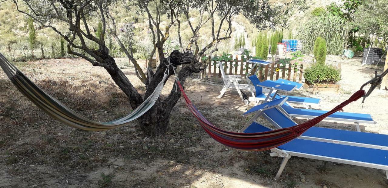 Pachamama Ecocamping Camping Alborache