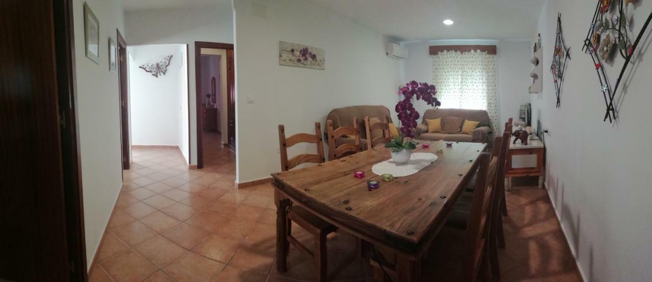 La Orquidea Morada Conil De La Frontera