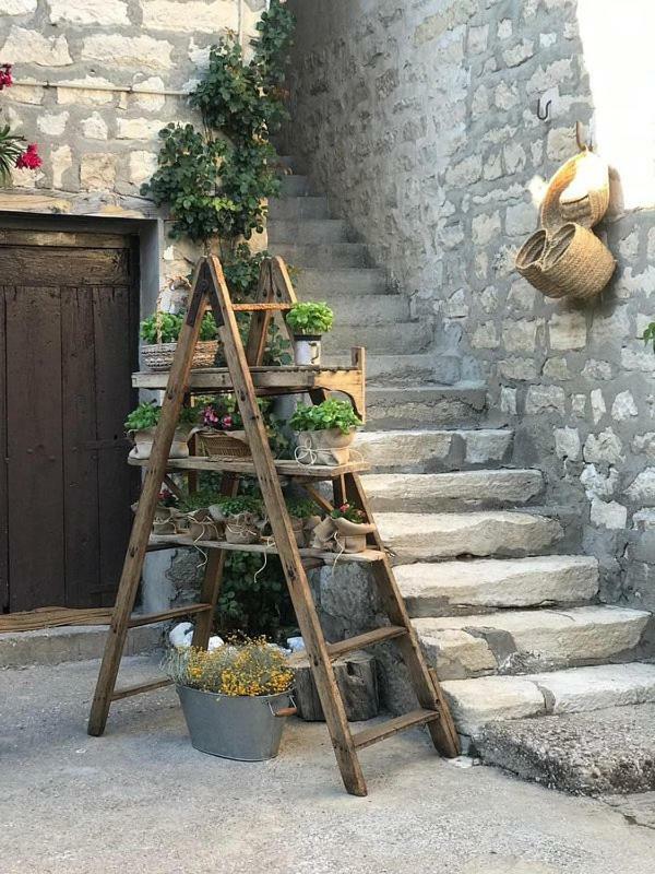 Casa Regino