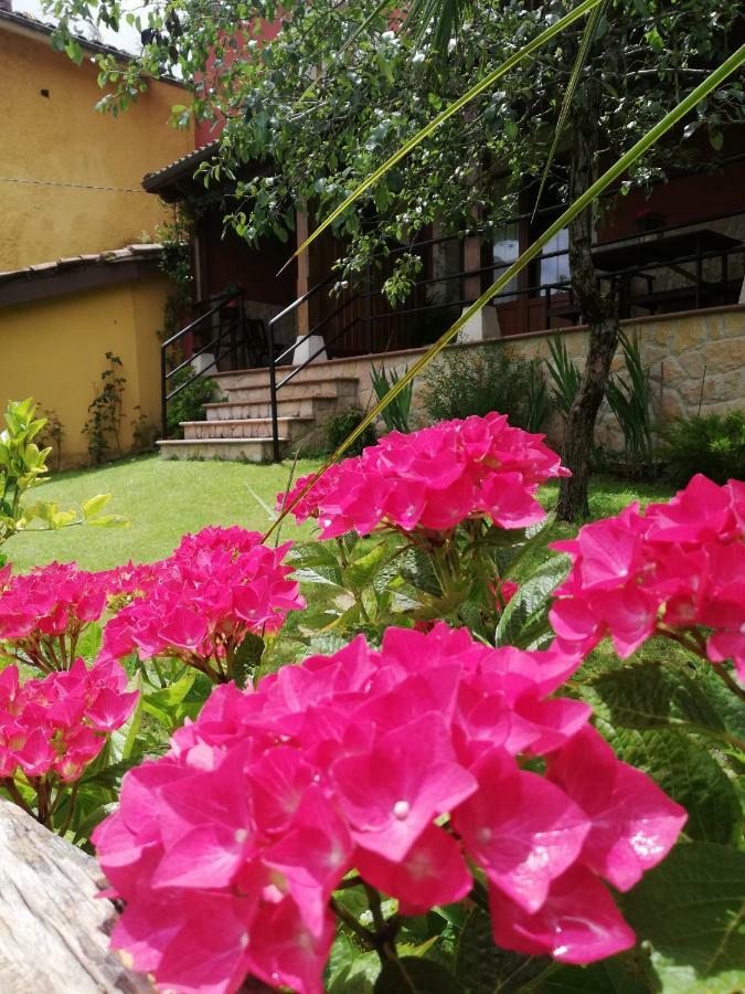 Casas Los Cantores * Beloncio