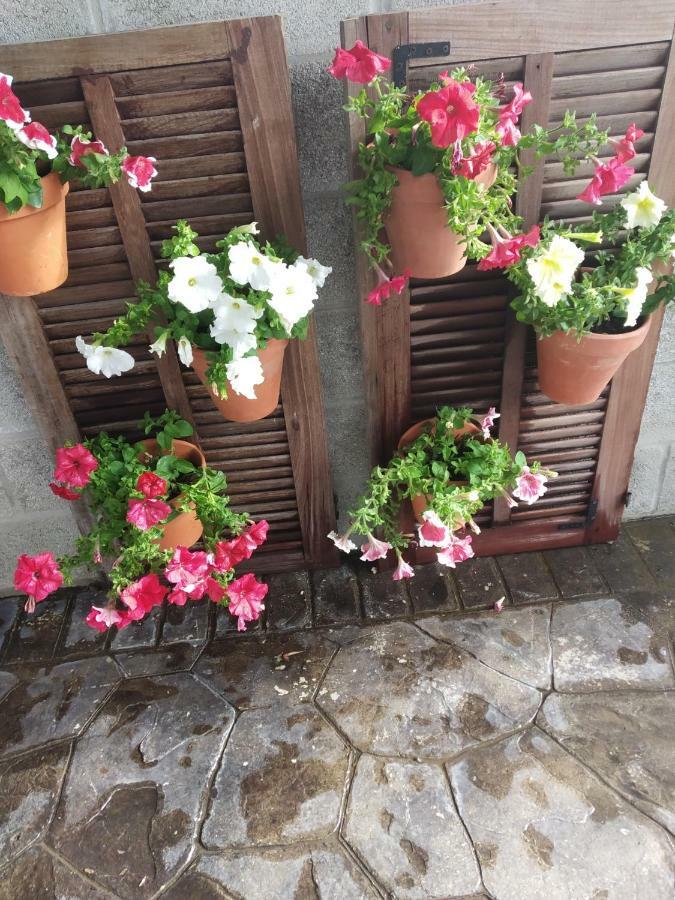 La Orquidea Morada Holiday home Conil De La Frontera