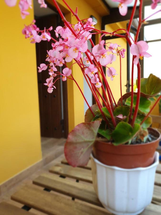 Bilona - La Colina Apartment Arnuero