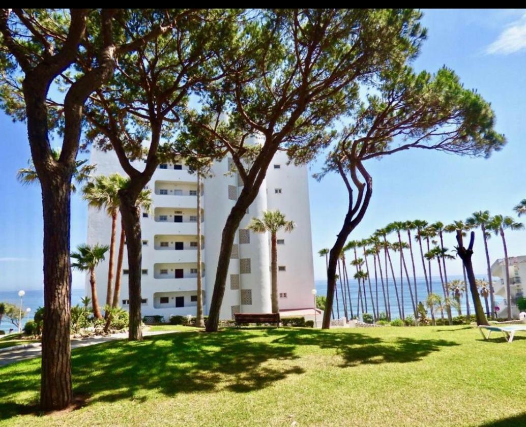 Residencial Algaida Apartment