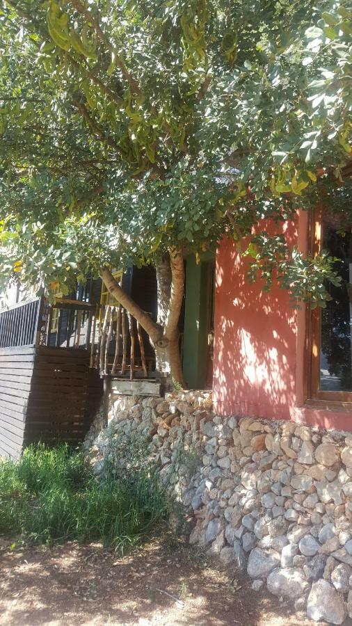 Casa Del Paso Lodge