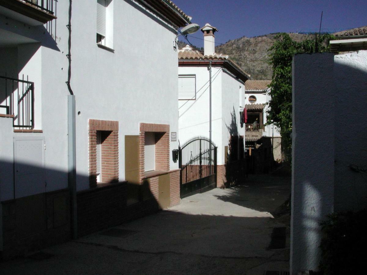 Olivos * Arroyo Frío