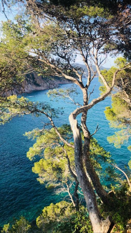 Cala Salions, Chalana I Apartamento