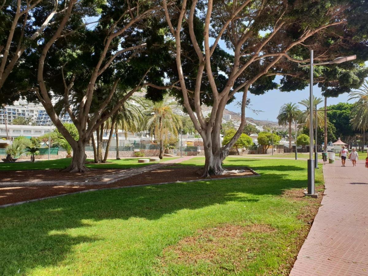 Bahamas Beside The Park And 300m To The Apartamento