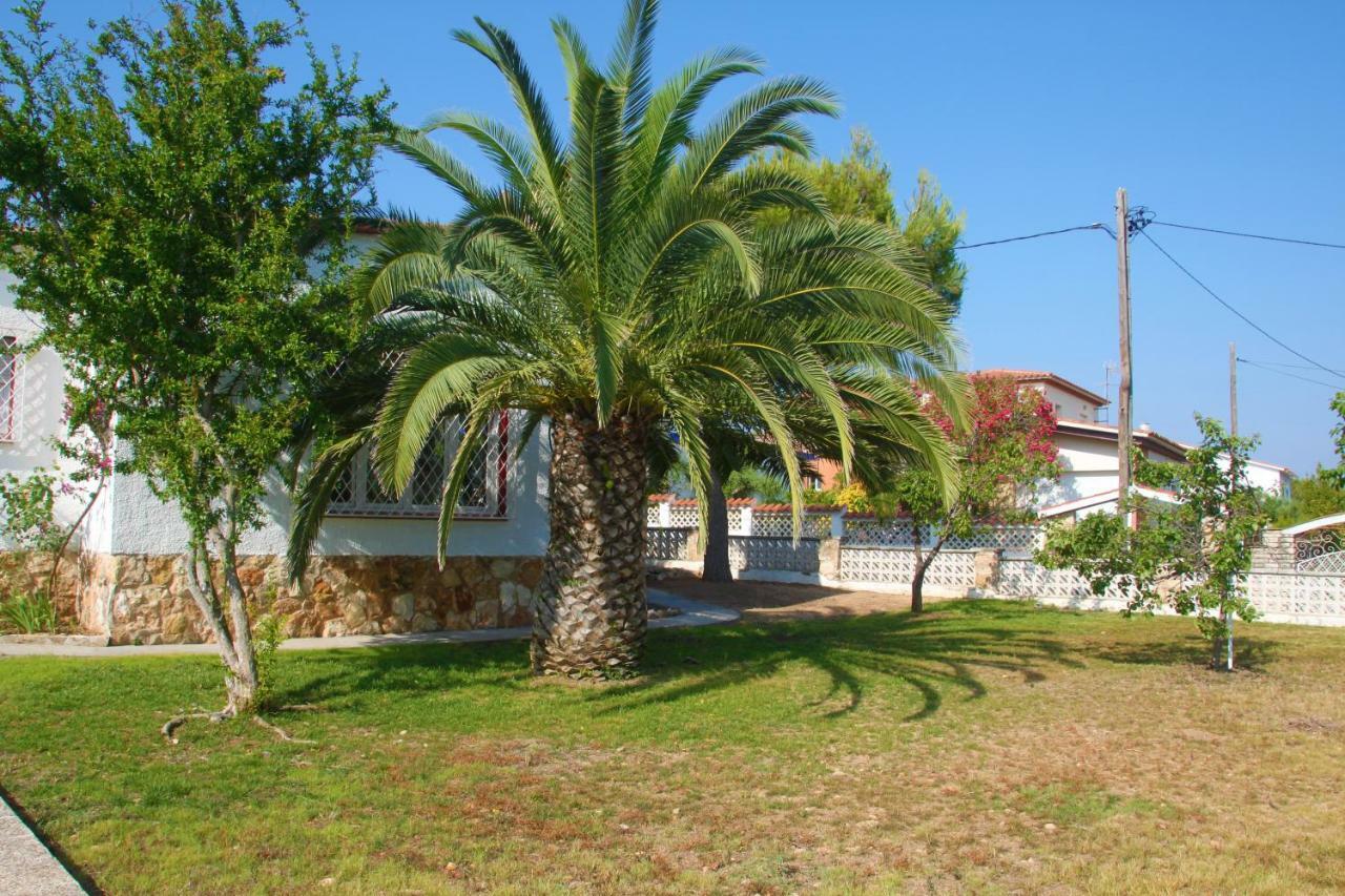 Casa Berlin