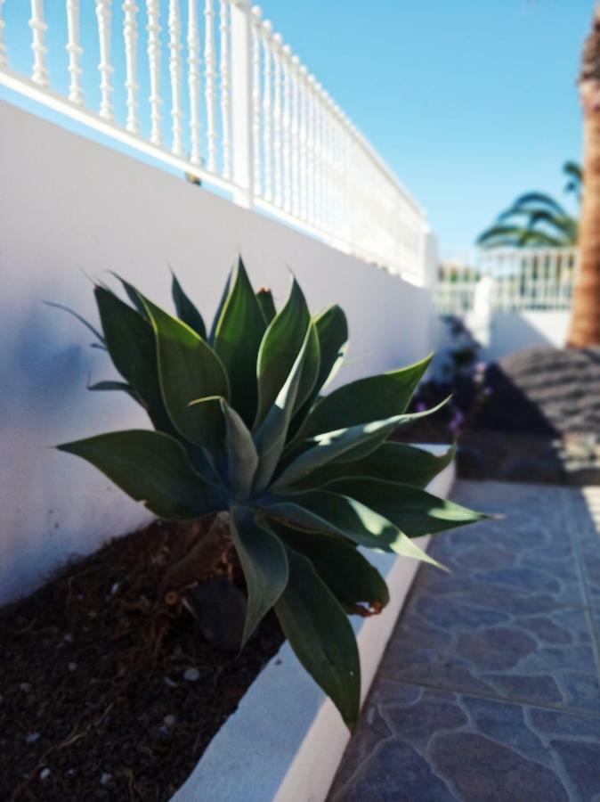 Centro * Corralejo