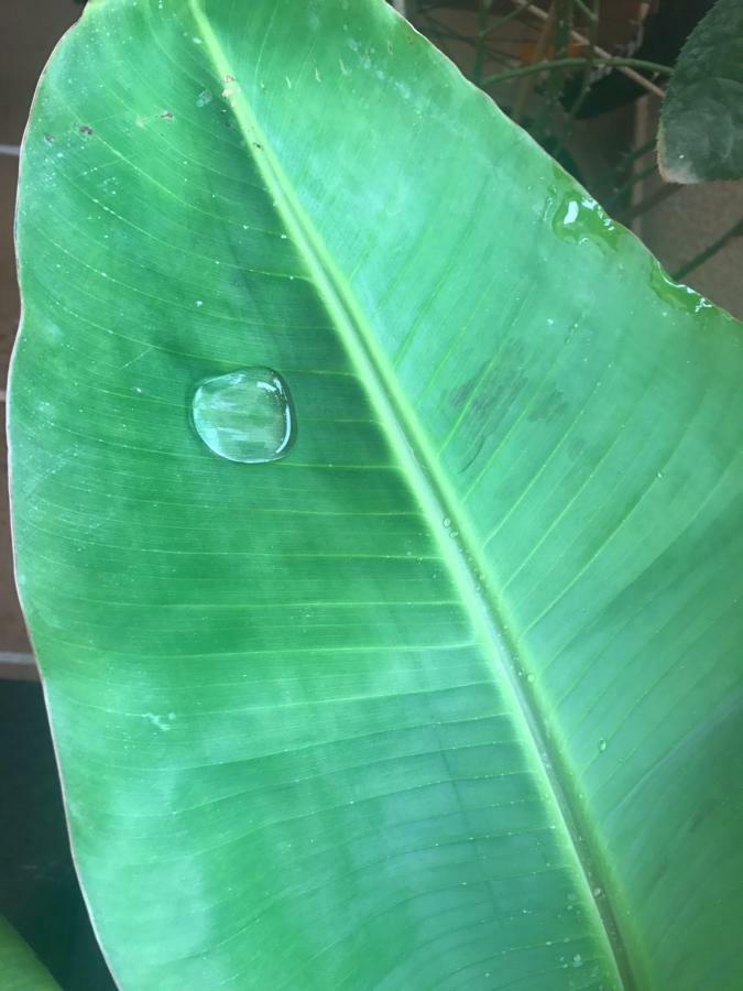 Indo Loma Sancti Petri Apartamento