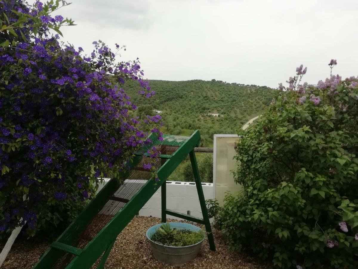 Rural La Perdiz Holiday home *