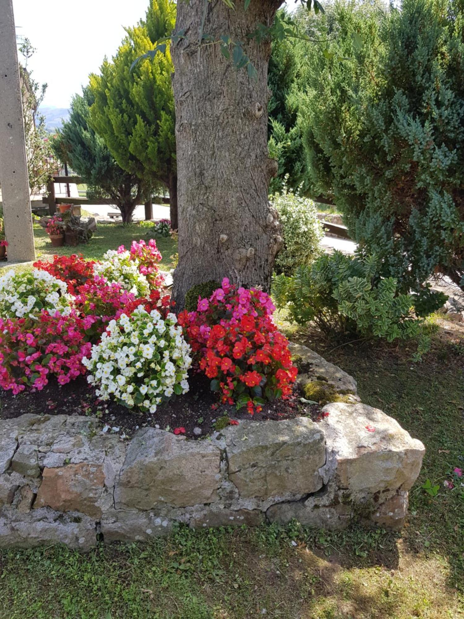 Holiday home Casa Rural Juntana Abionzo
