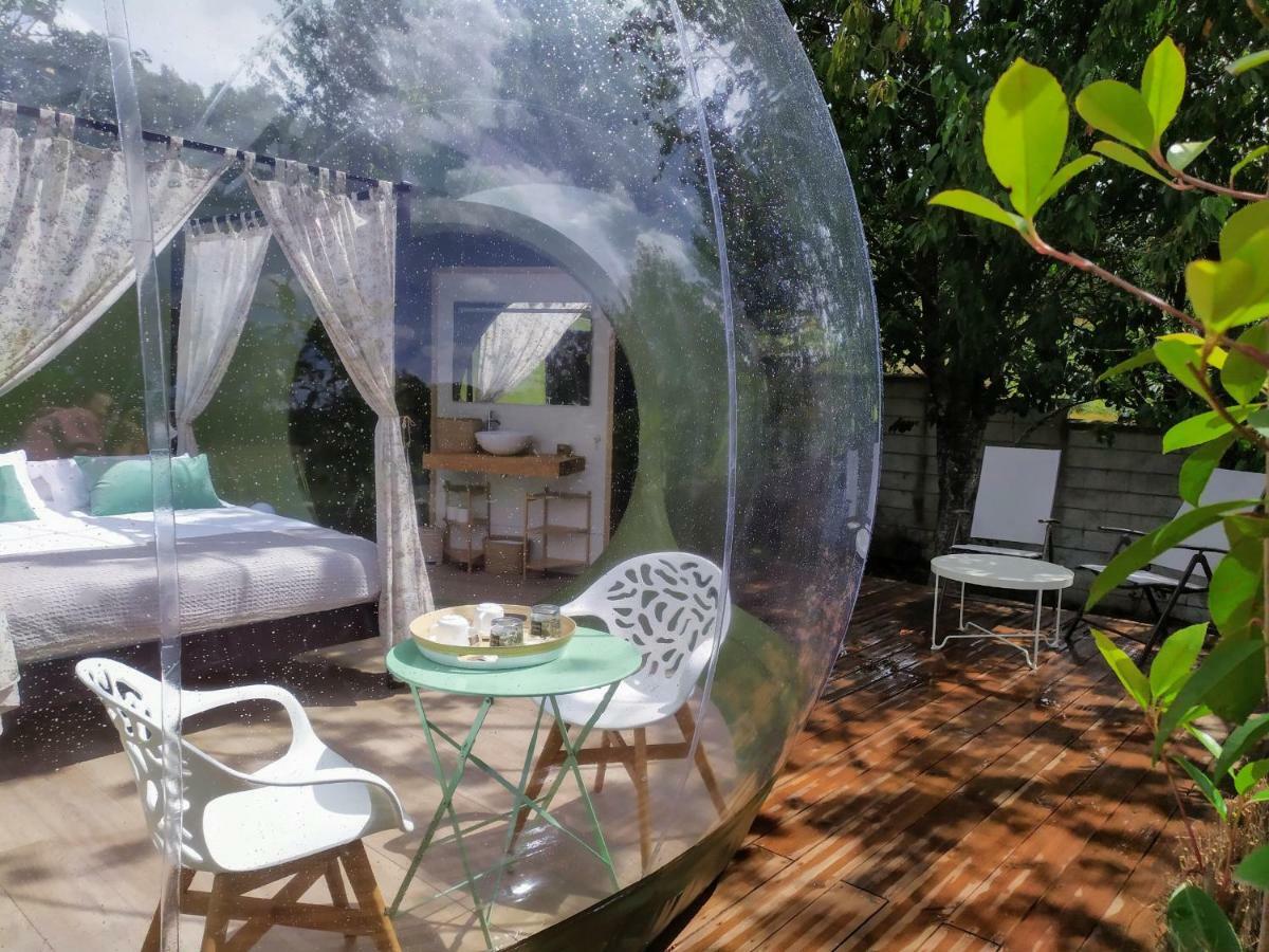 Country house Remanso De Trasfontao Casa Arbores & Bubble *