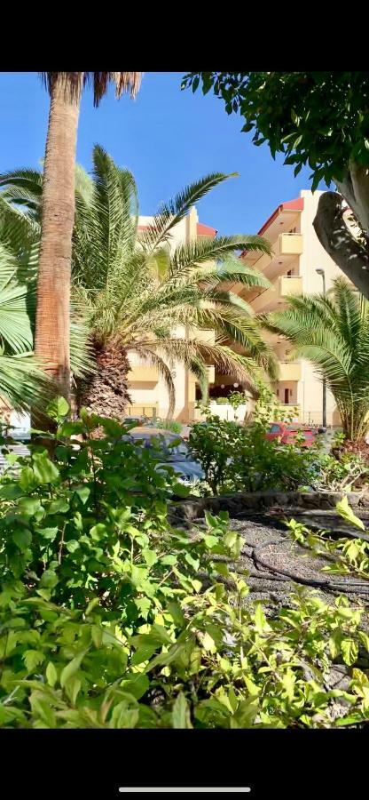 Apartment 138 Los Angeles, Los Cristianos Close To The Ocean