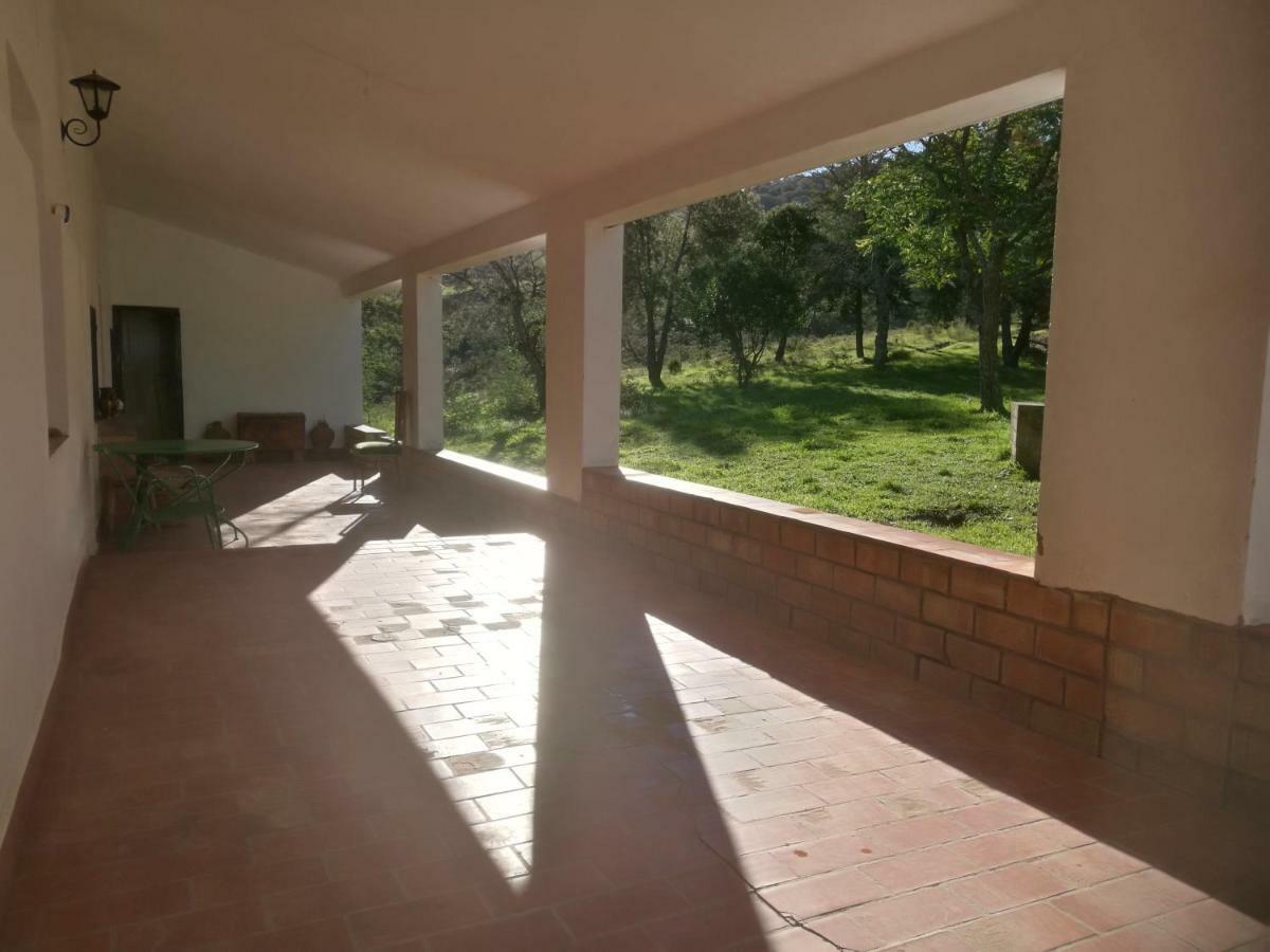 Cortijo El Alamo *