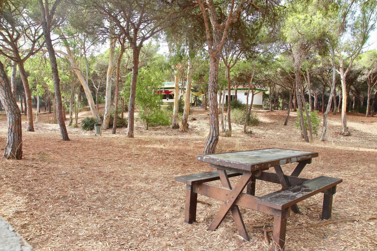 Playa Y Bosque Apartamento Rota