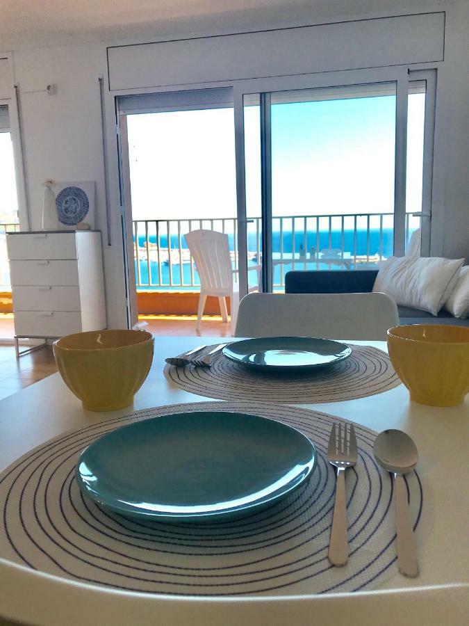 Elm Sant Feliu de Guixols