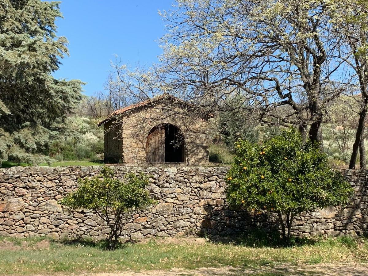 Robles Acebo