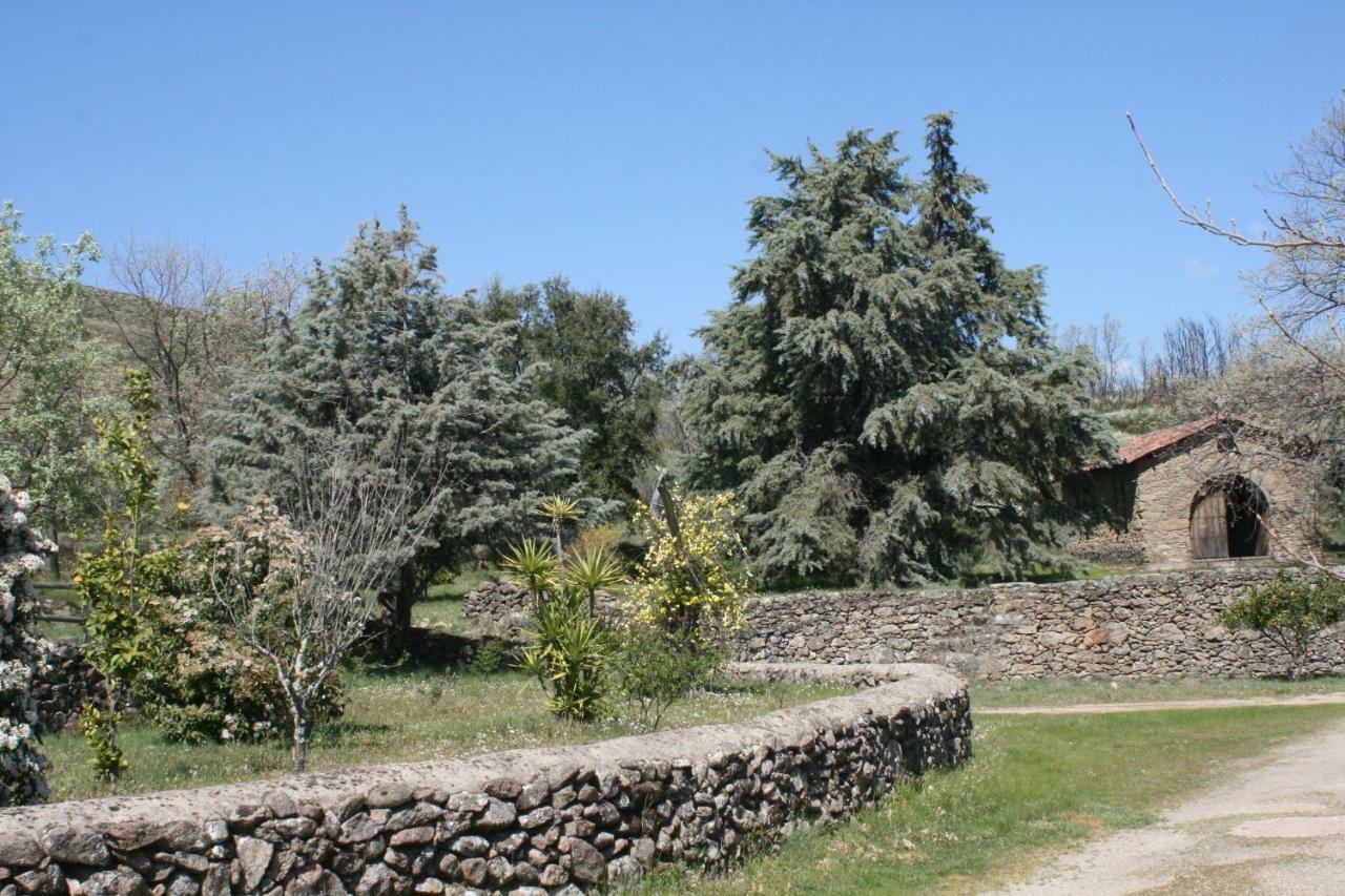 Holiday home Robles *