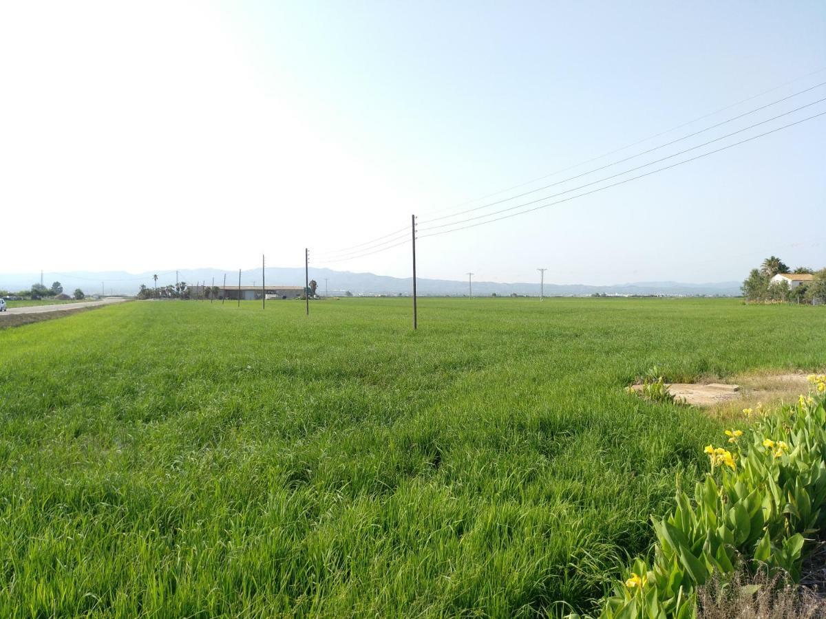 Aube Deltebre