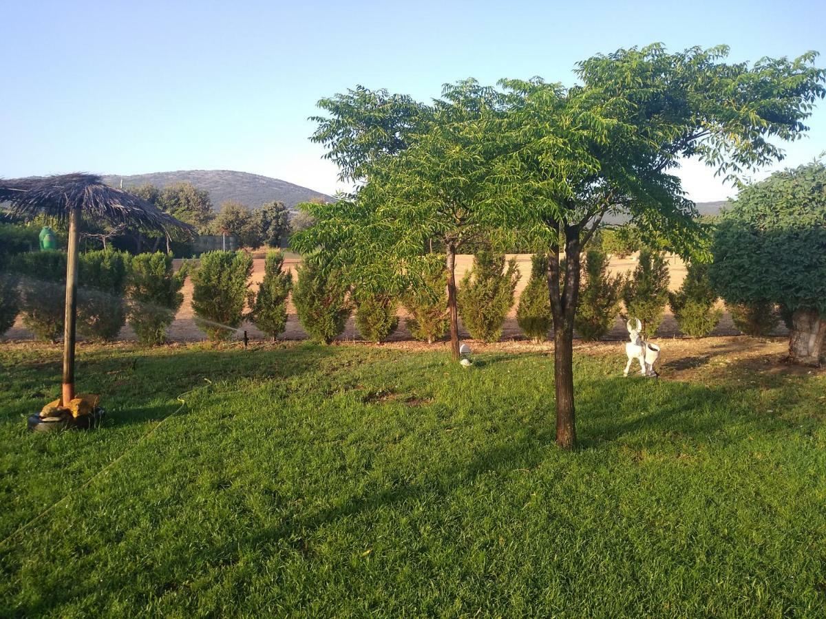 Pajaros Navahermosa (Toledo)