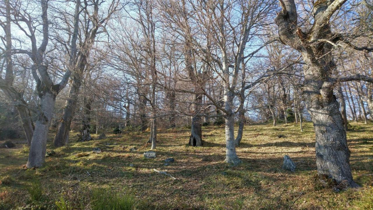 Casa Sierra De Cebollera