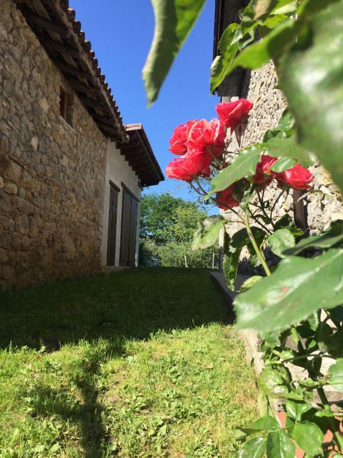 Сasa de vacaciones Flor De Pomar Corao