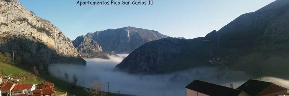 Pico San Carlos Ll * Bejes